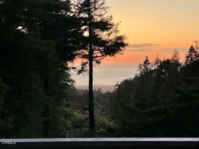 33370 Little Valley Road Fort Bragg, CA 95437 - Photo 36 of 70 a view of lake from window