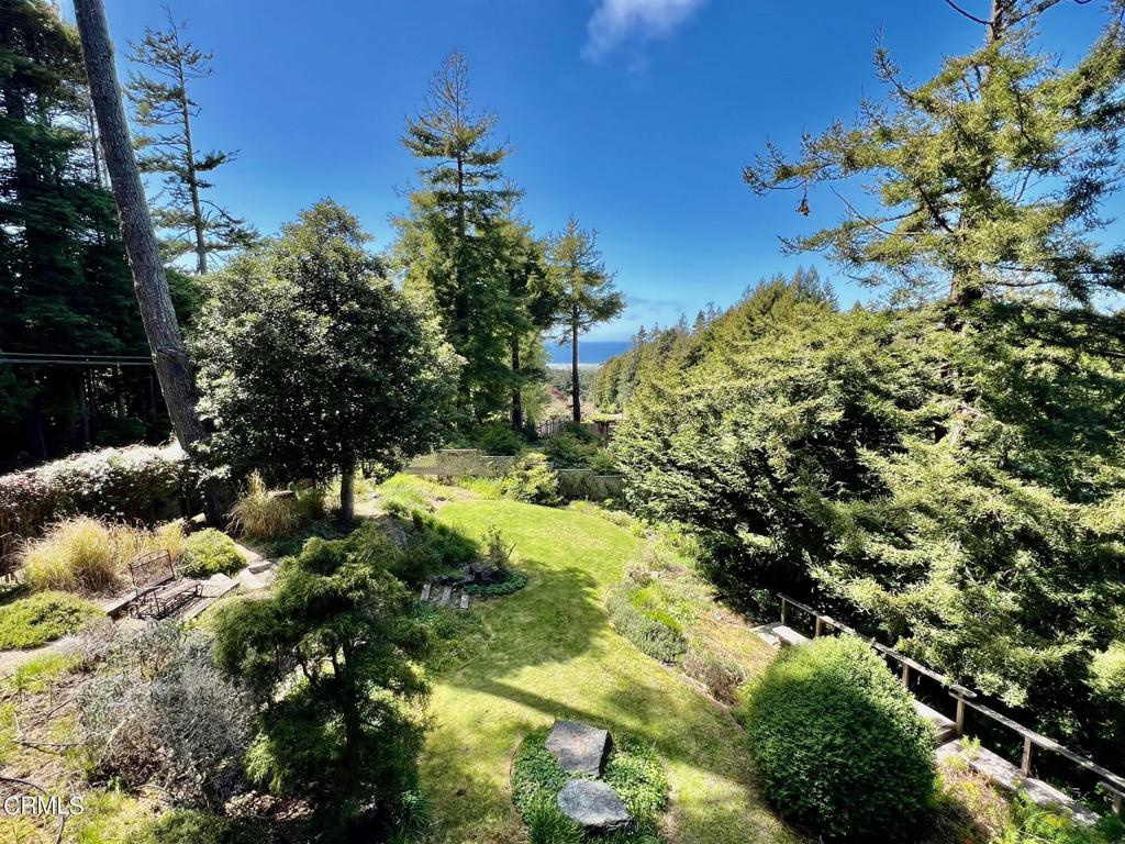 33370 Little Valley Road Fort Bragg, CA 95437 - Photo 42 of 70 a view of a tree with a flower in a garden