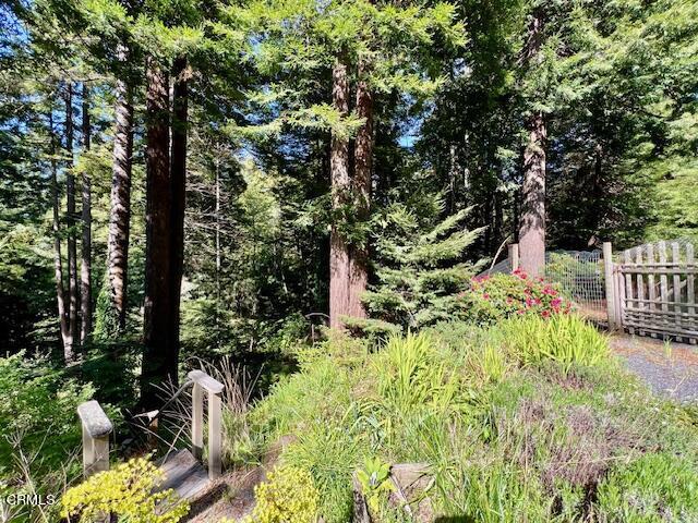 33370 Little Valley Road Fort Bragg, CA 95437 - Photo 53 of 70 a garden view