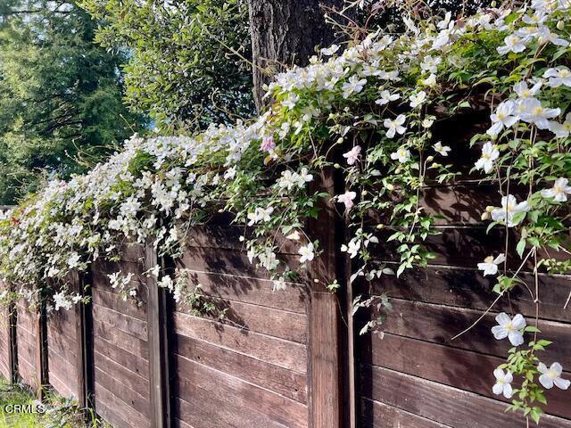 33370 Little Valley Road Fort Bragg, CA 95437 - Photo 65 of 70 a picture of tree