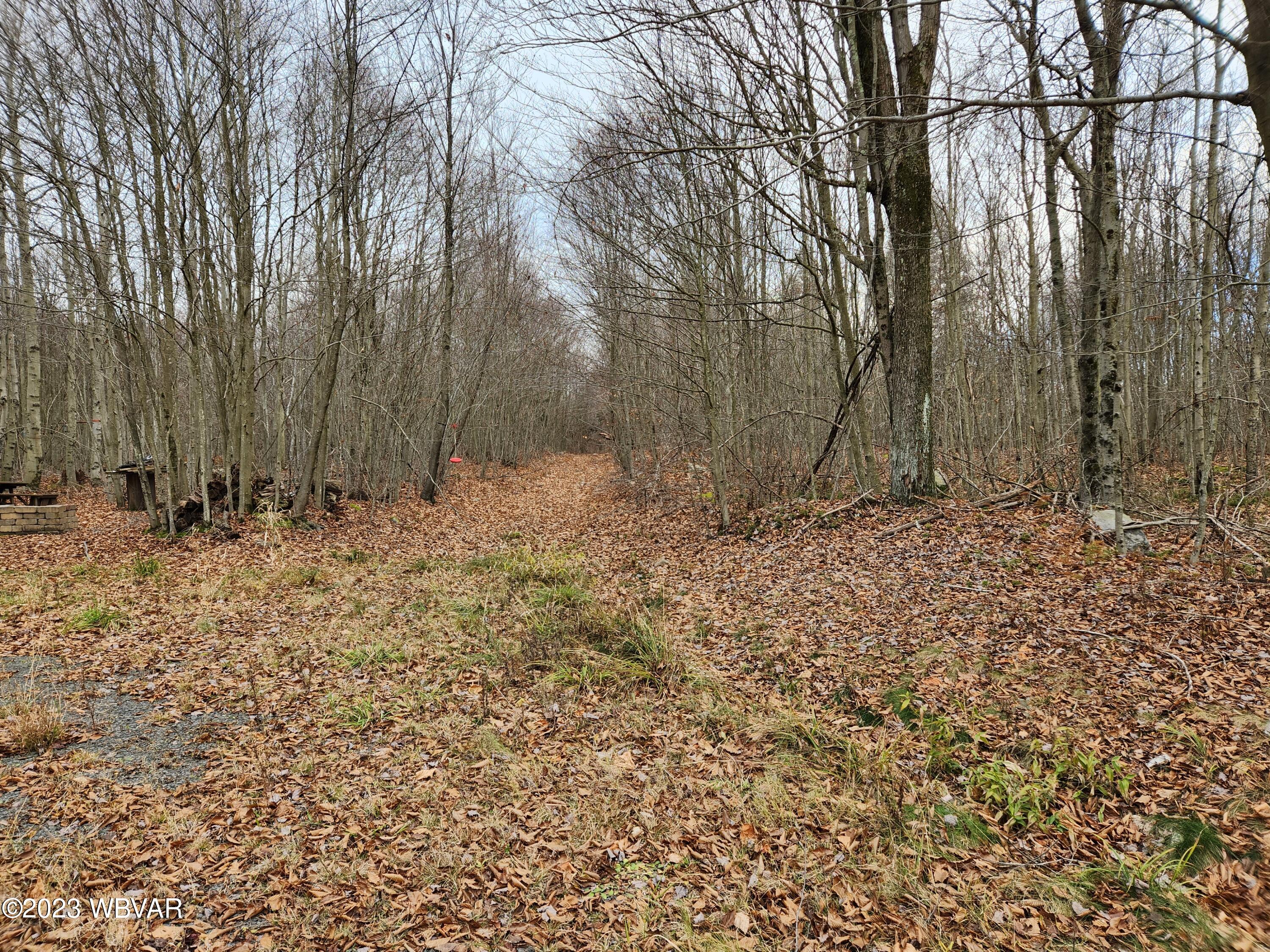 Pole Bridge Road, Unit 37 Muncy Valley, PA 17758 - Photo 3 of 18 Gallery Image 3
