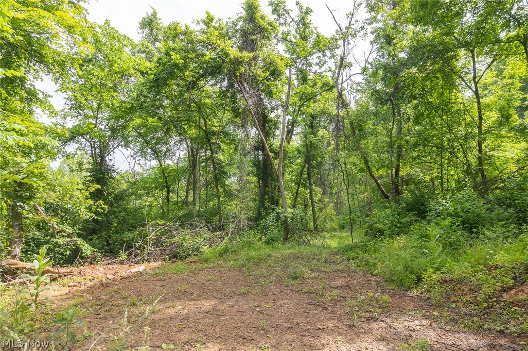 Kinnen Road Caldwell, OH 43724 - Photo 16 of 37
