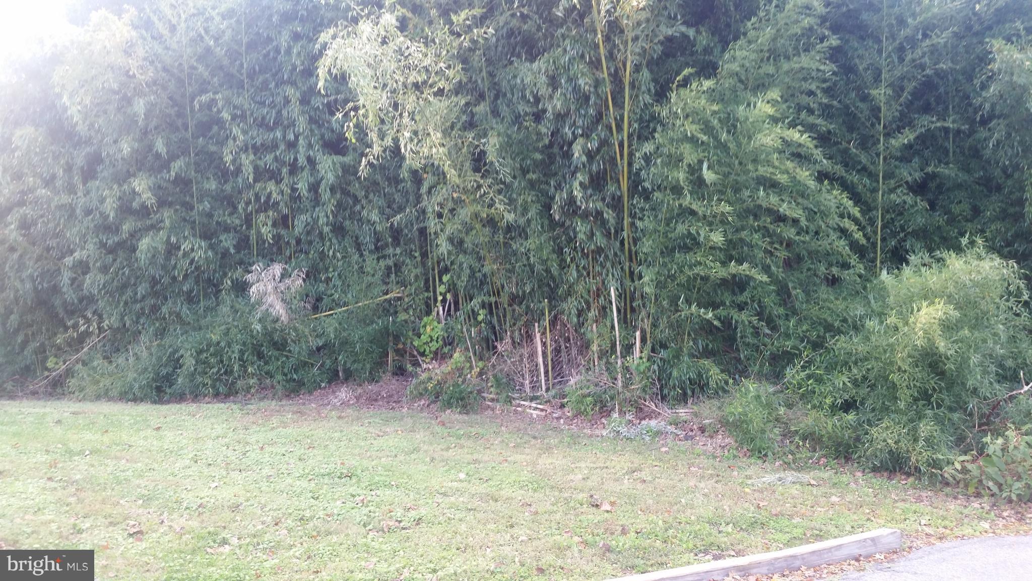 7536 C Street Chesapeake Beach, MD 20732 - Photo 1 of 3 Exterior Front