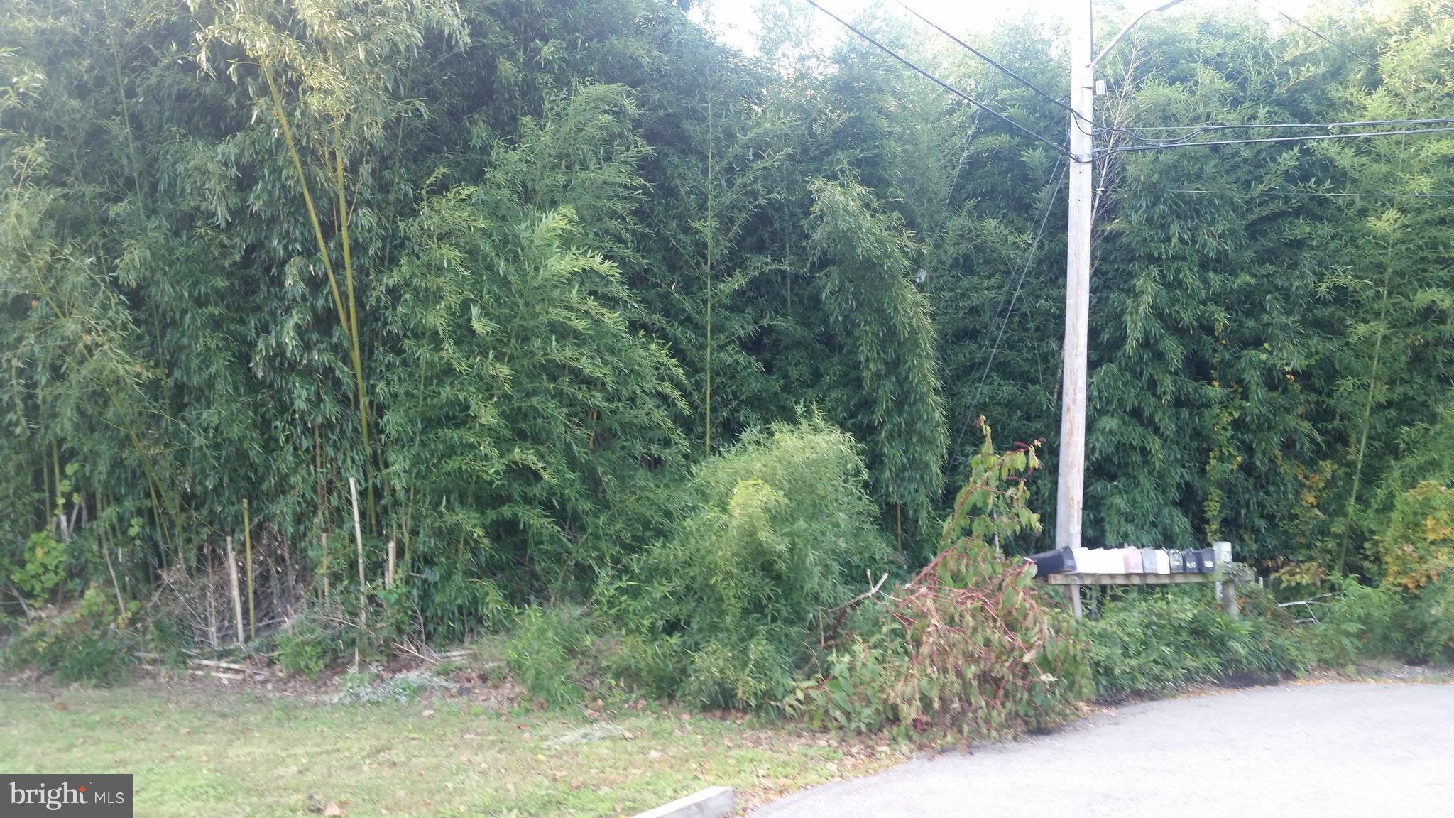 7536 C Street Chesapeake Beach, MD 20732 - Photo 2 of 3 Exterior (Front)