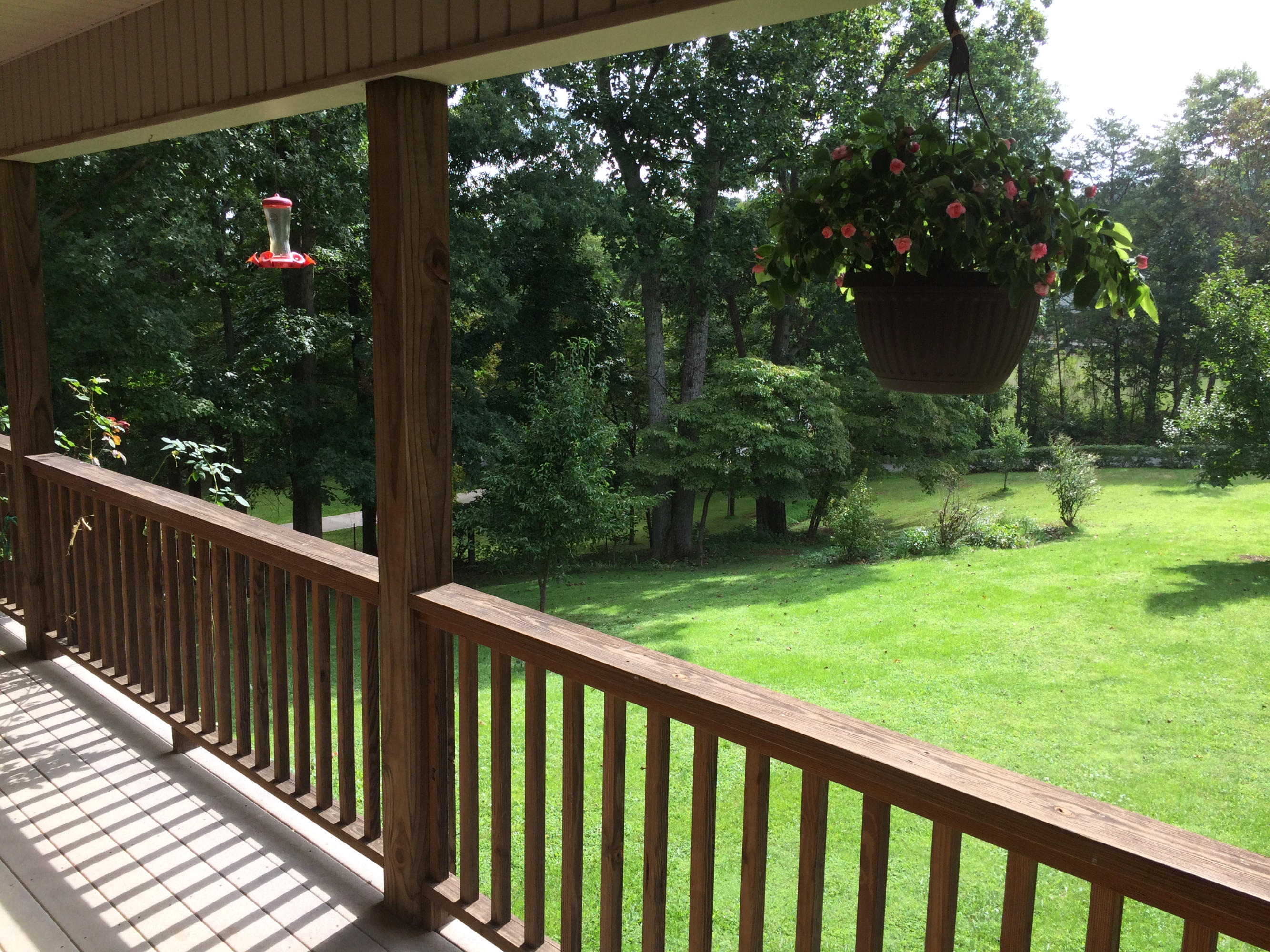 956 Chestnut Ridge Road Heiskell, TN 37754 - Photo 2 of 18 Chestnut Ridge Beautiful Yard