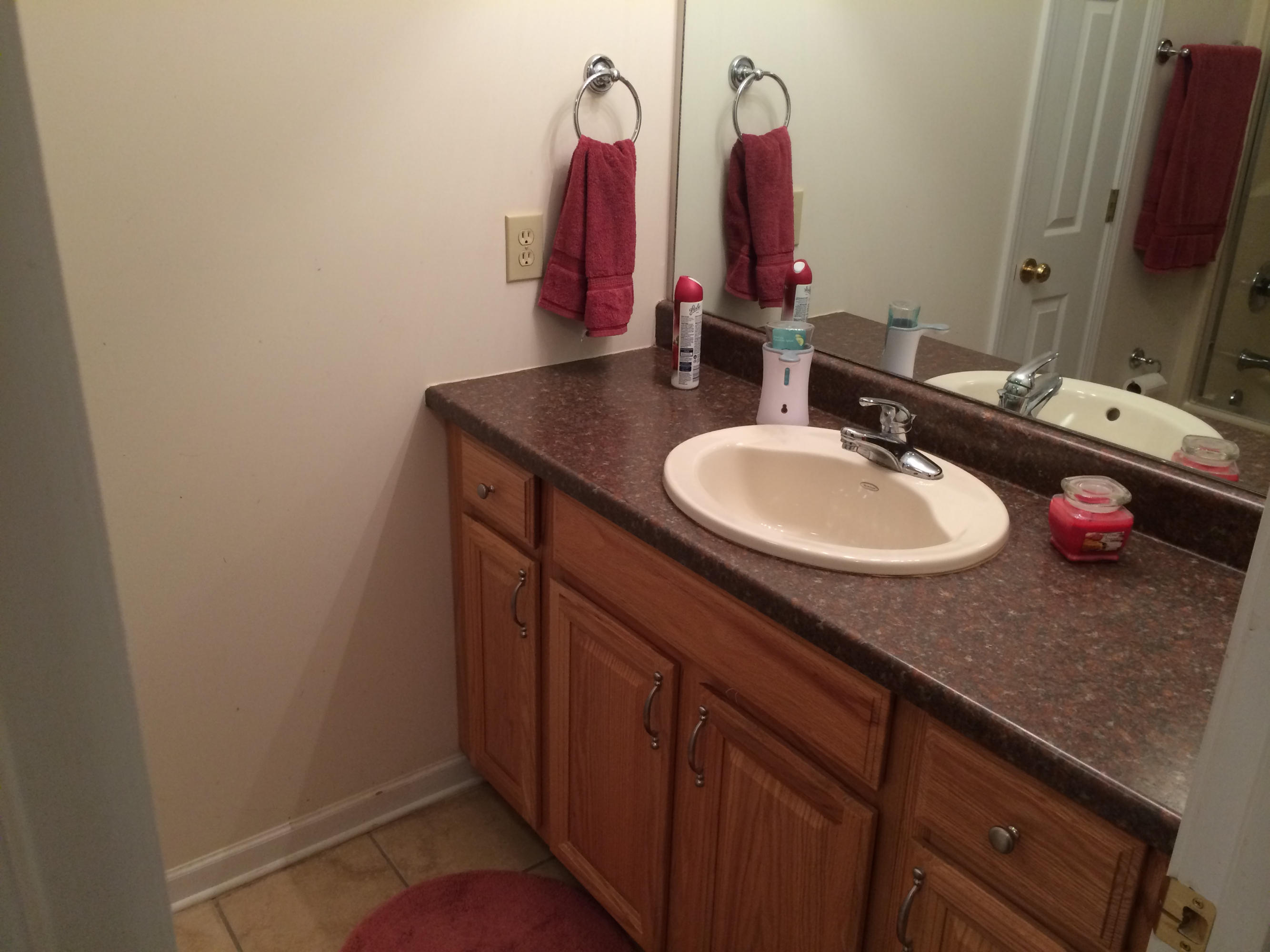 956 Chestnut Ridge Road Heiskell, TN 37754 - Photo 11 of 18 Chestnut Ridge Bath 2