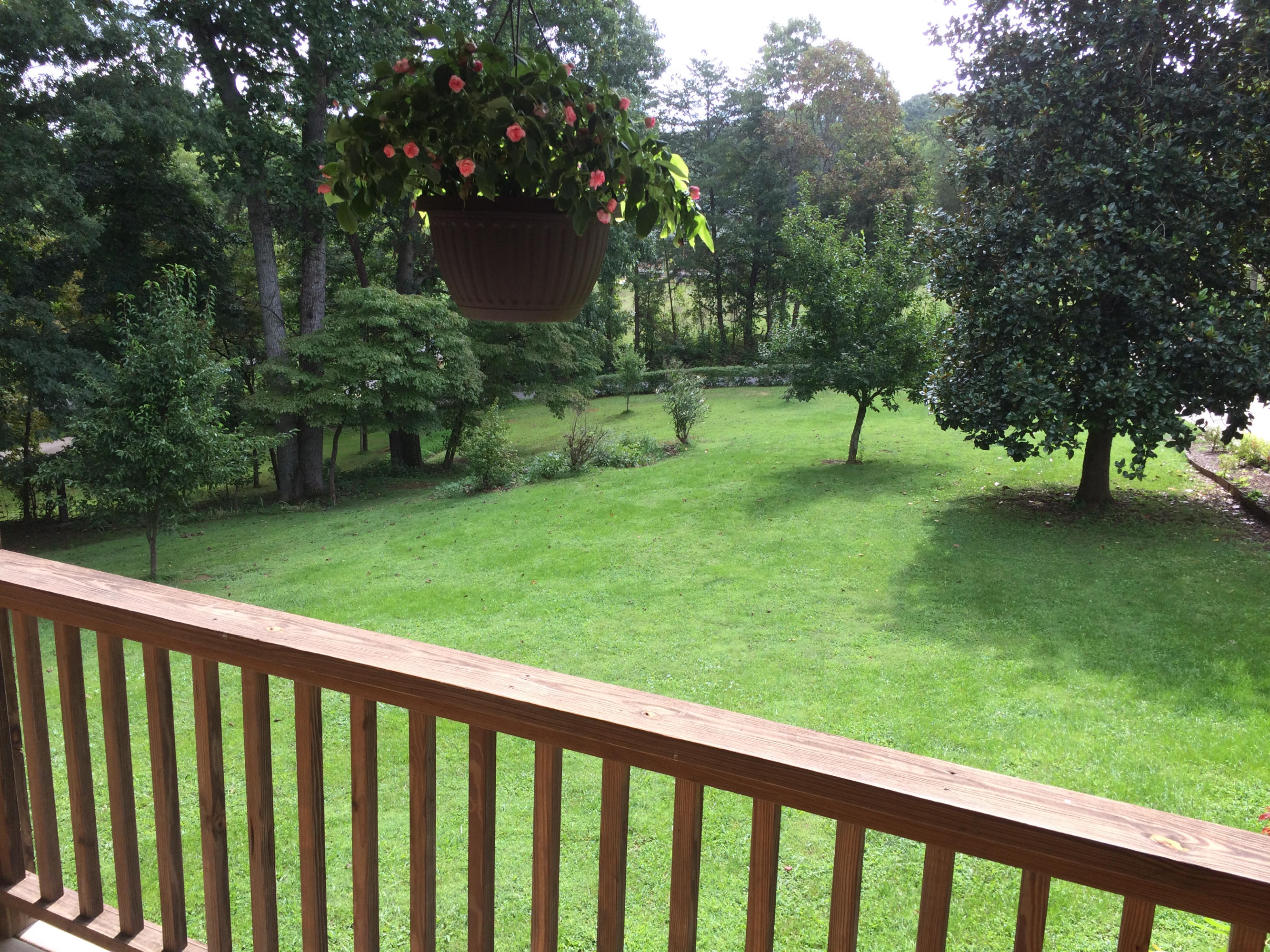 956 Chestnut Ridge Road Heiskell, TN 37754 - Photo 3 of 18 Chestnut Ridge Relax on Covered Porch