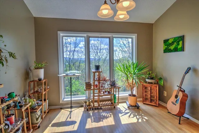 $263,874 | 316 Hickory Bluff, Johnson City, TN 37601