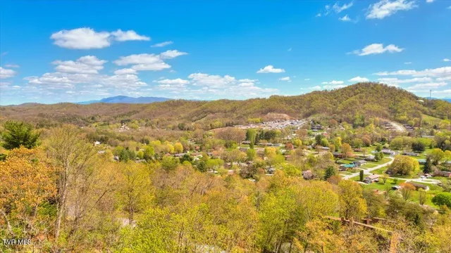 $263,874 | 316 Hickory Bluff, Johnson City, TN 37601