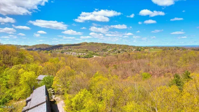 $263,874 | 316 Hickory Bluff, Johnson City, TN 37601