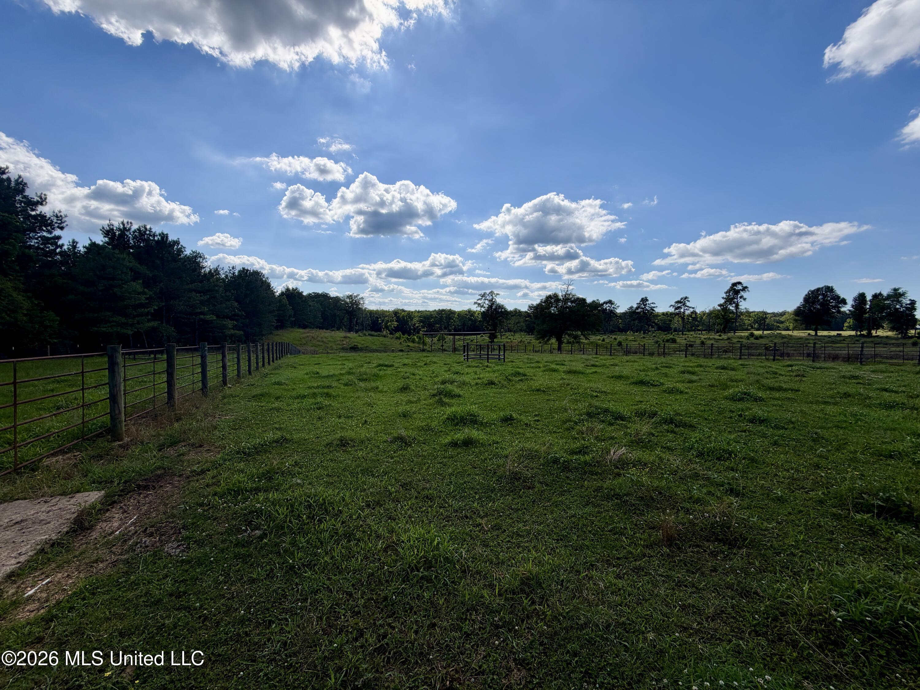 1071 Williams Road Wesson, MS 39191 - Photo 11 of 48 IMG_2790