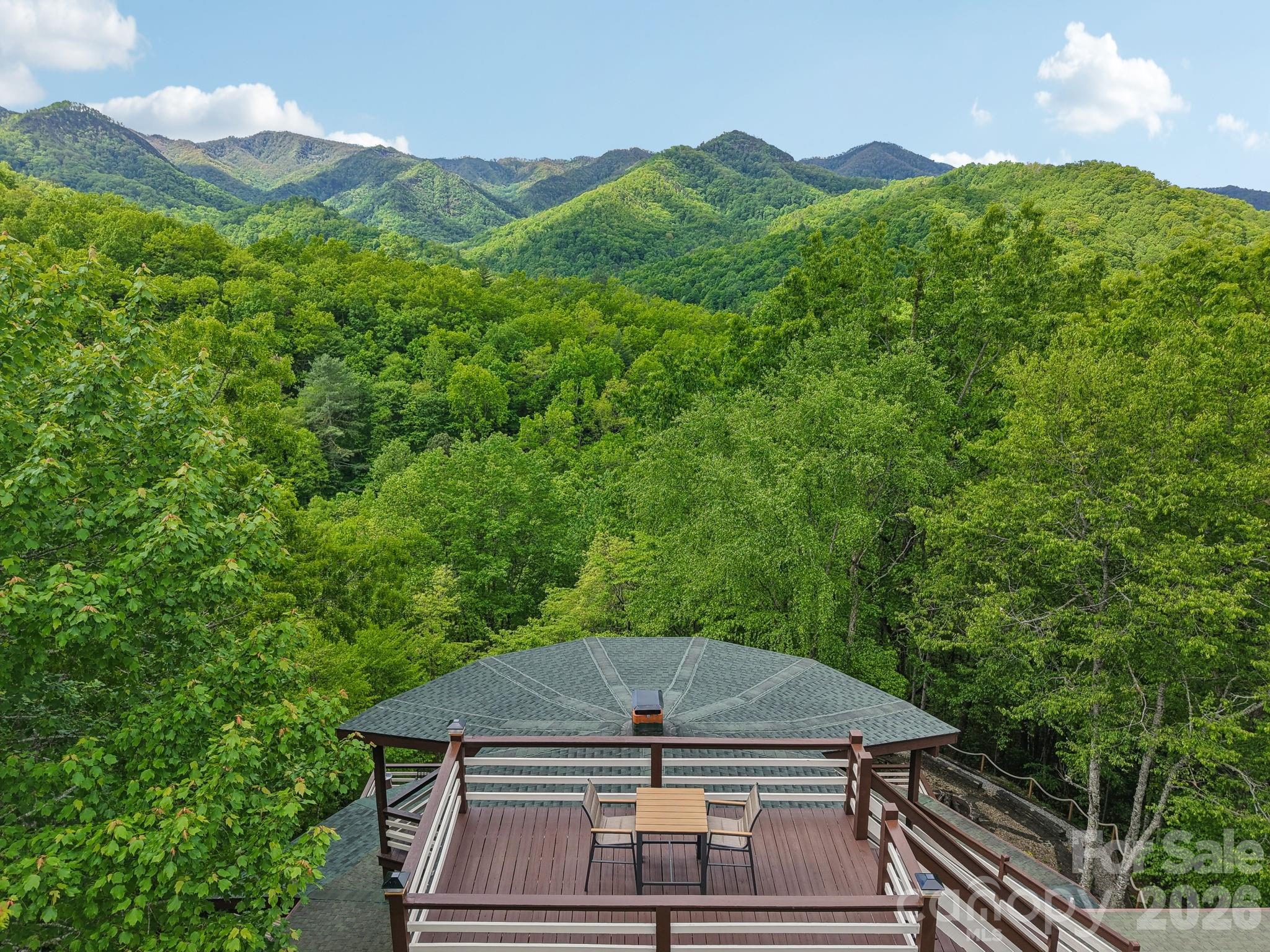 295 Dills Road Bryson City, NC 28713 - Photo 17 of 42