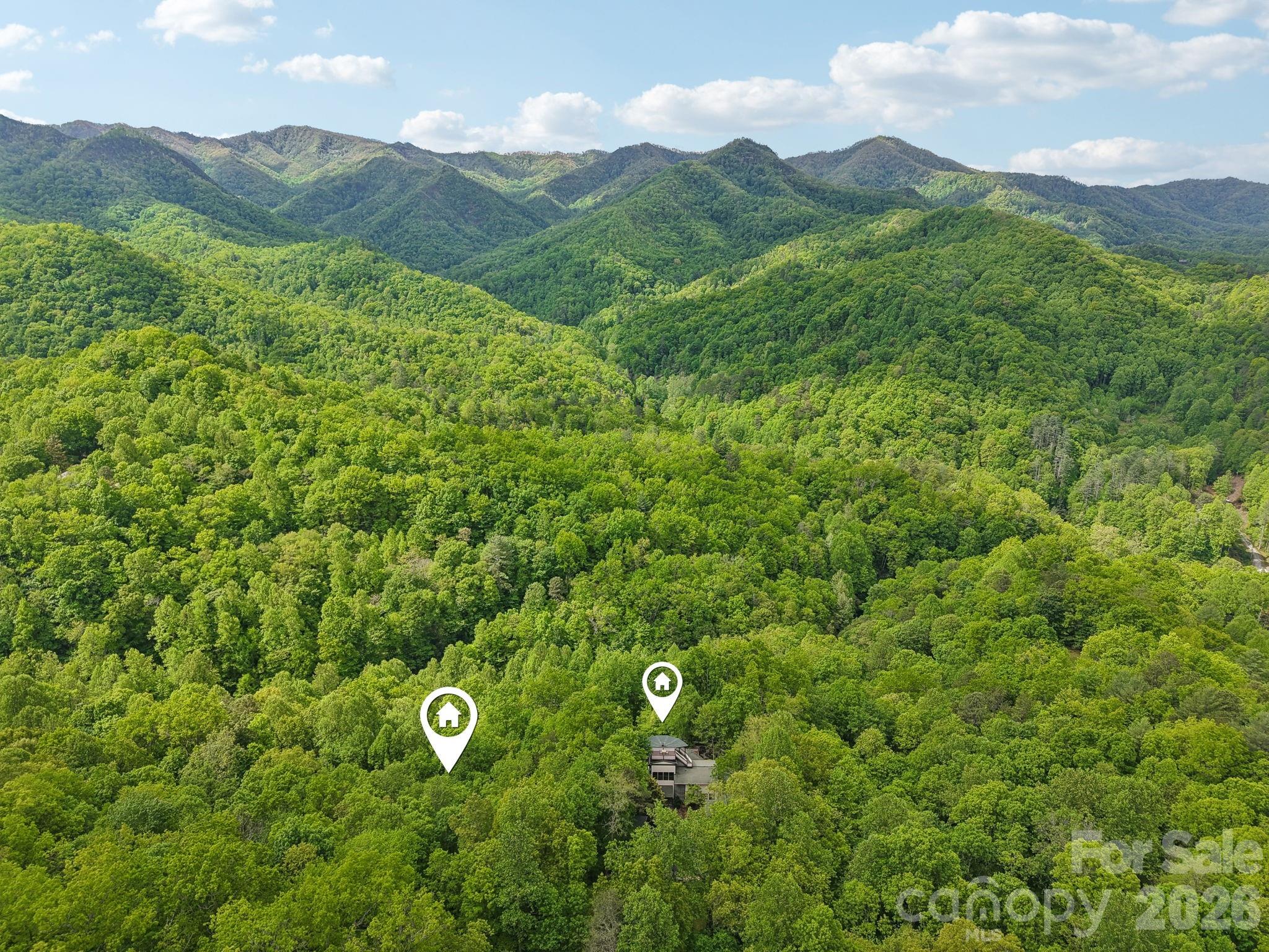 295 Dills Road Bryson City, NC 28713 - Photo 38 of 42