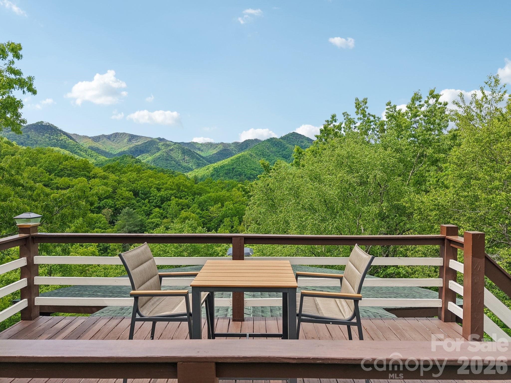 295 Dills Road Bryson City, NC 28713 - Photo 4 of 42