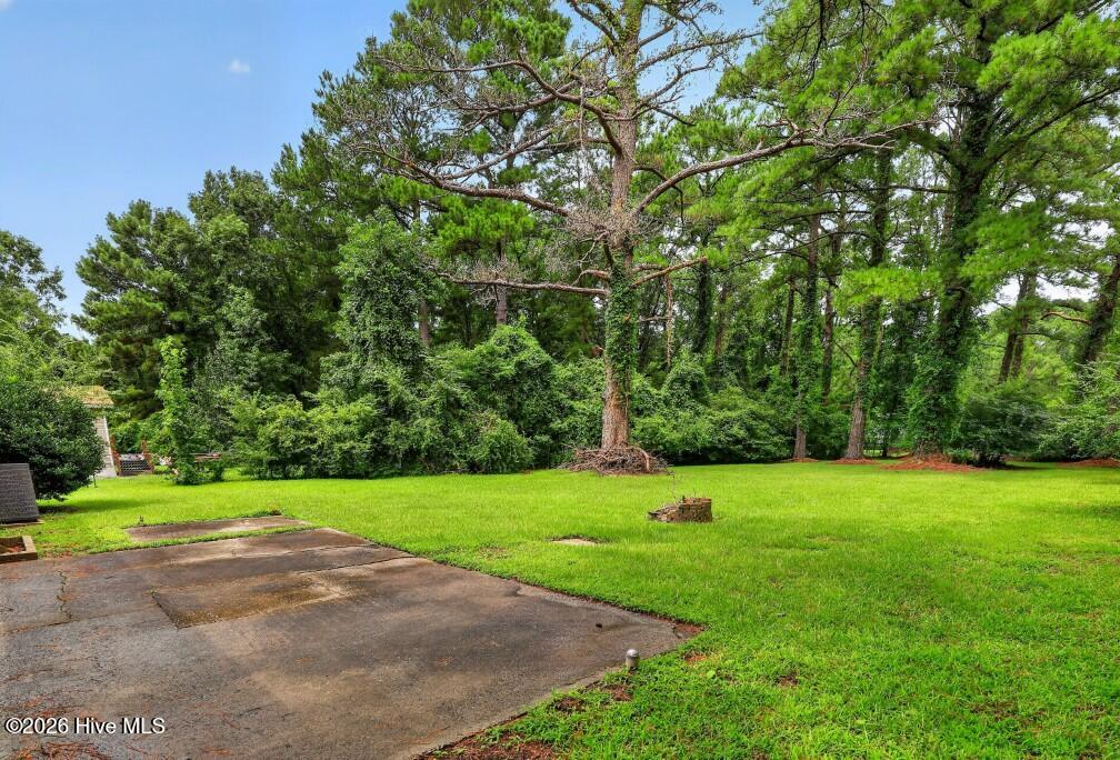 602 West Thurman Road New Bern, NC 28562 - Photo 13 of 16 Gallery Image 13