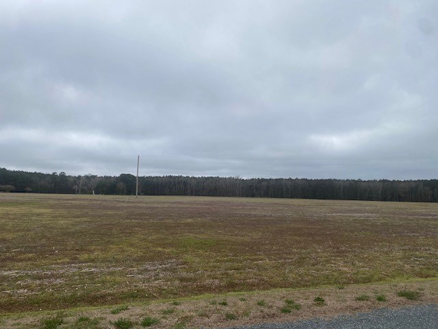 64-72 Parks Farm Road Hallwood, VA 23359 - Photo 2 of 6