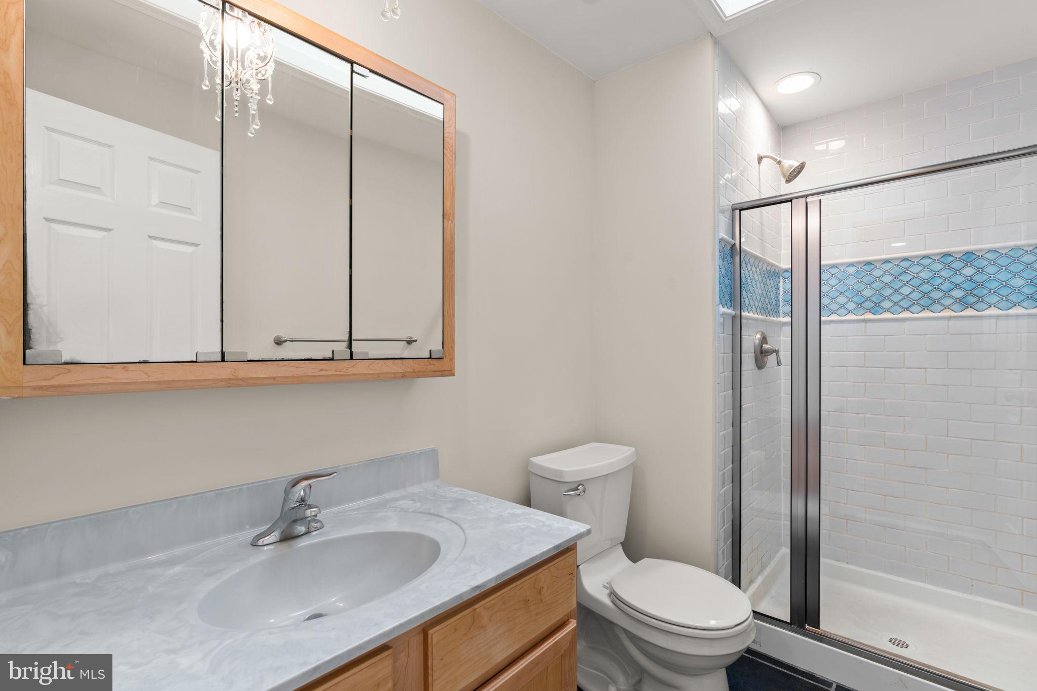 7156 Winter Rose Path Columbia, MD 21045 - Photo 22 of 58 Primary Bathroom