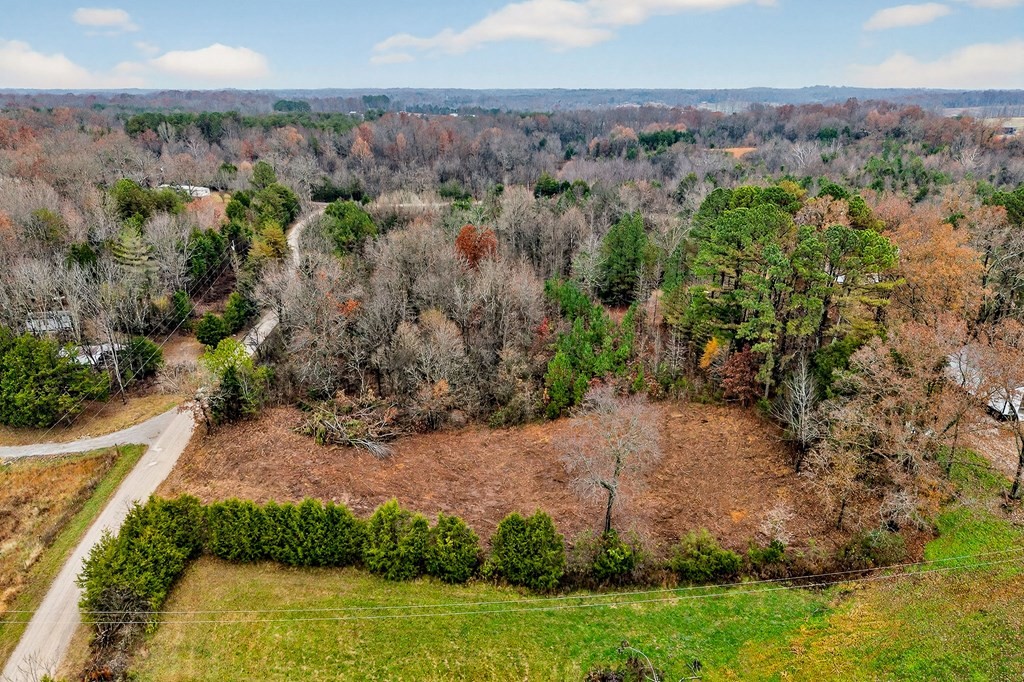 0 North Center Point Acres Walling, TN 38587 - Photo 17 of 20 an aerial view of a houses with a yard