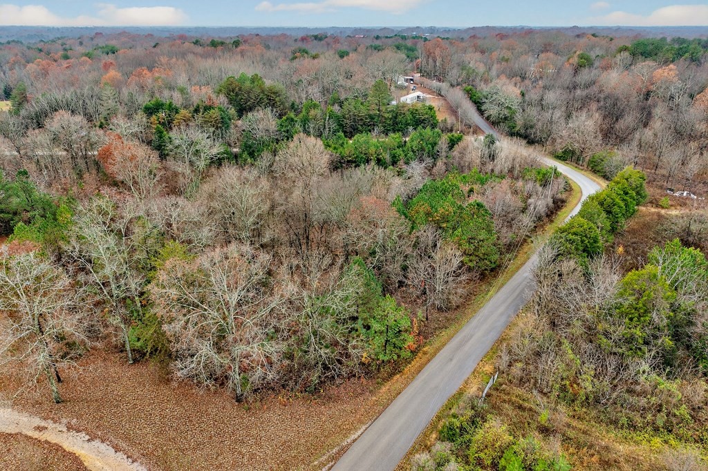 0 North Center Point Acres Walling, TN 38587 - Photo 18 of 20 a view of a forest with a forest