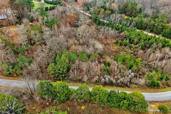 a view of a garden with plants