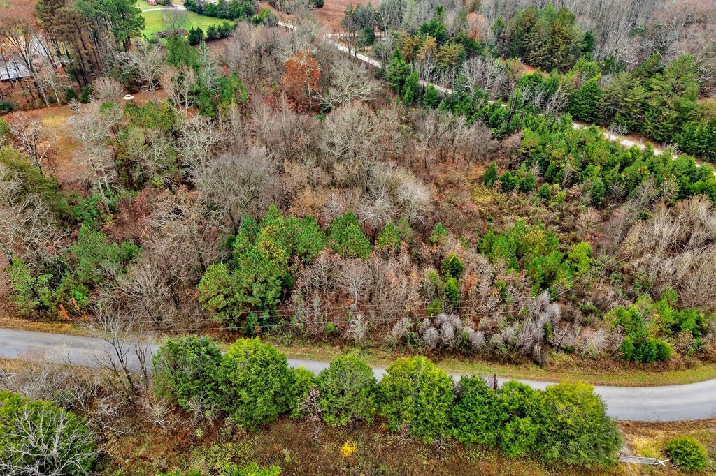 0 North Center Point Acres Walling, TN 38587 - Photo 19 of 20 a view of a yard with plants and large trees