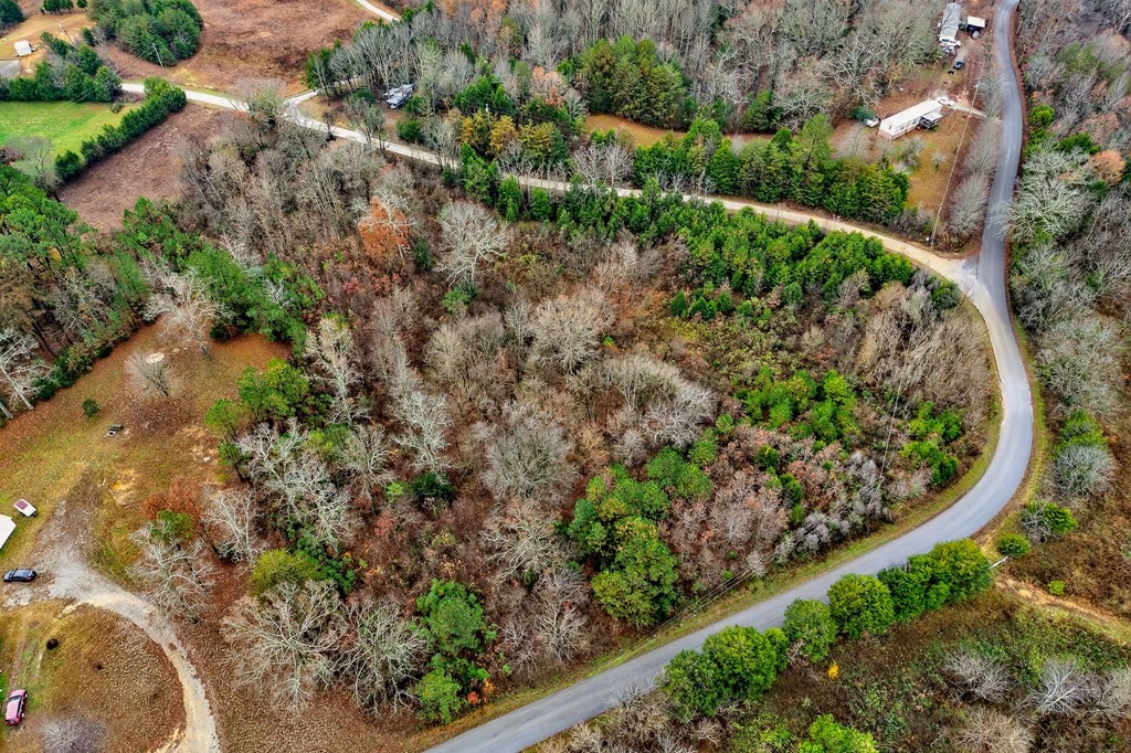 0 North Center Point Acres Walling, TN 38587 - Photo 20 of 20 a view of a garden with plants