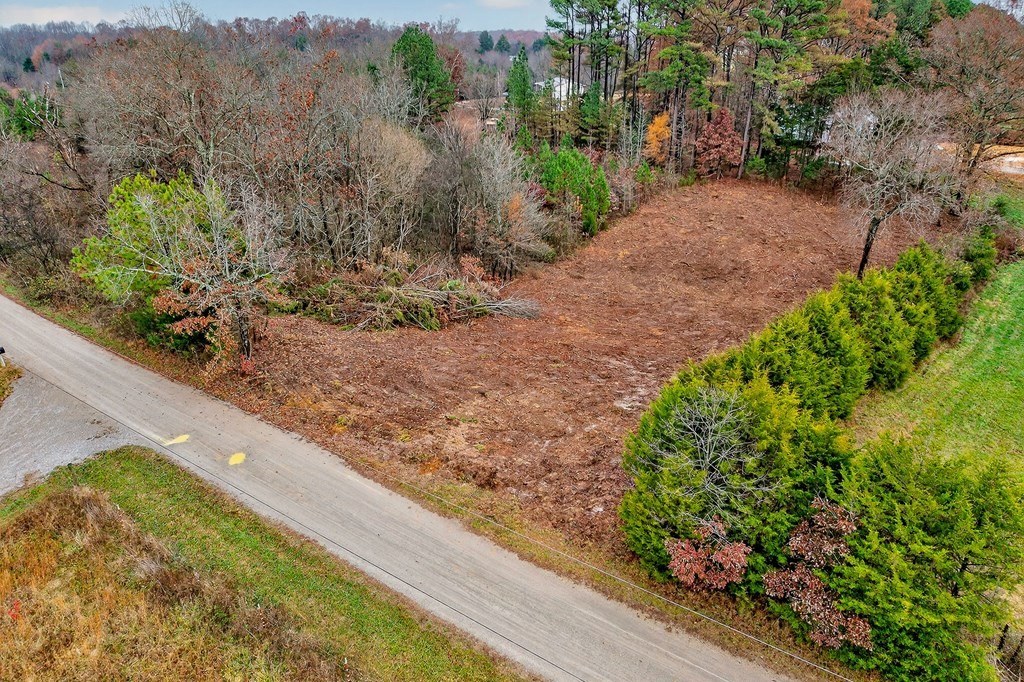 0 North Center Point Acres Walling, TN 38587 - Photo 2 of 20 a view of a garden with wooden fence