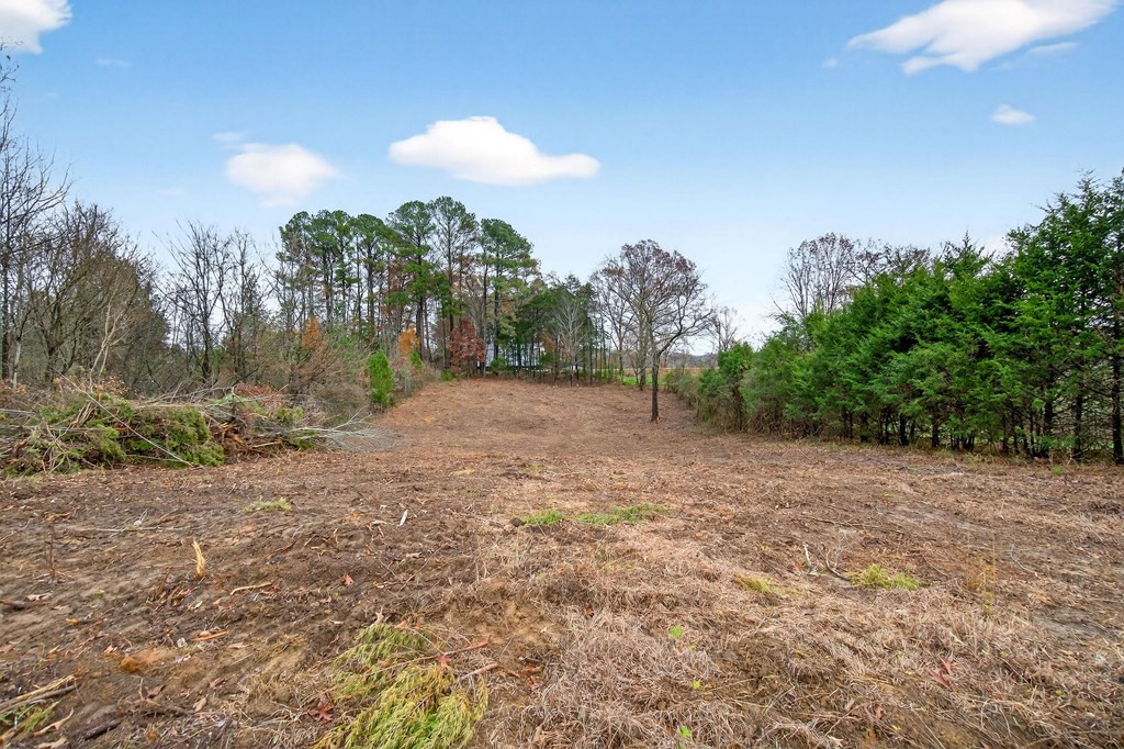 0 North Center Point Acres Walling, TN 38587 - Photo 3 of 20 a view of a dry yard with trees