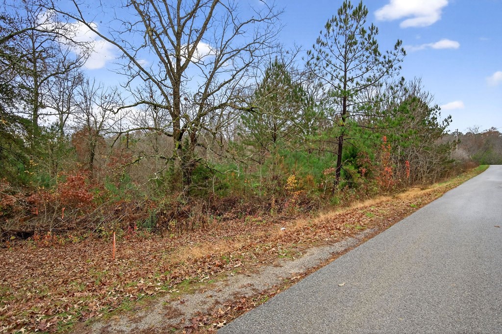 0 North Center Point Acres Walling, TN 38587 - Photo 4 of 20 a view of a yard with a tree