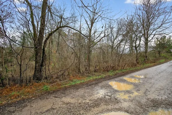 a view of backyard of house