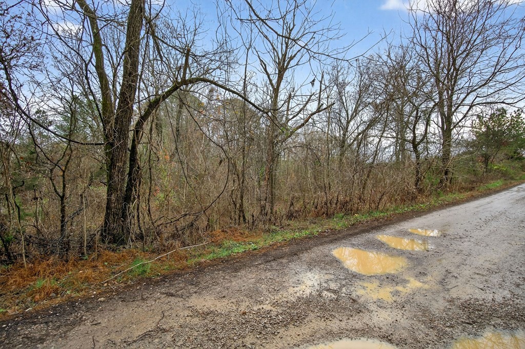 0 North Center Point Acres Walling, TN 38587 - Photo 8 of 20 a view of backyard of house