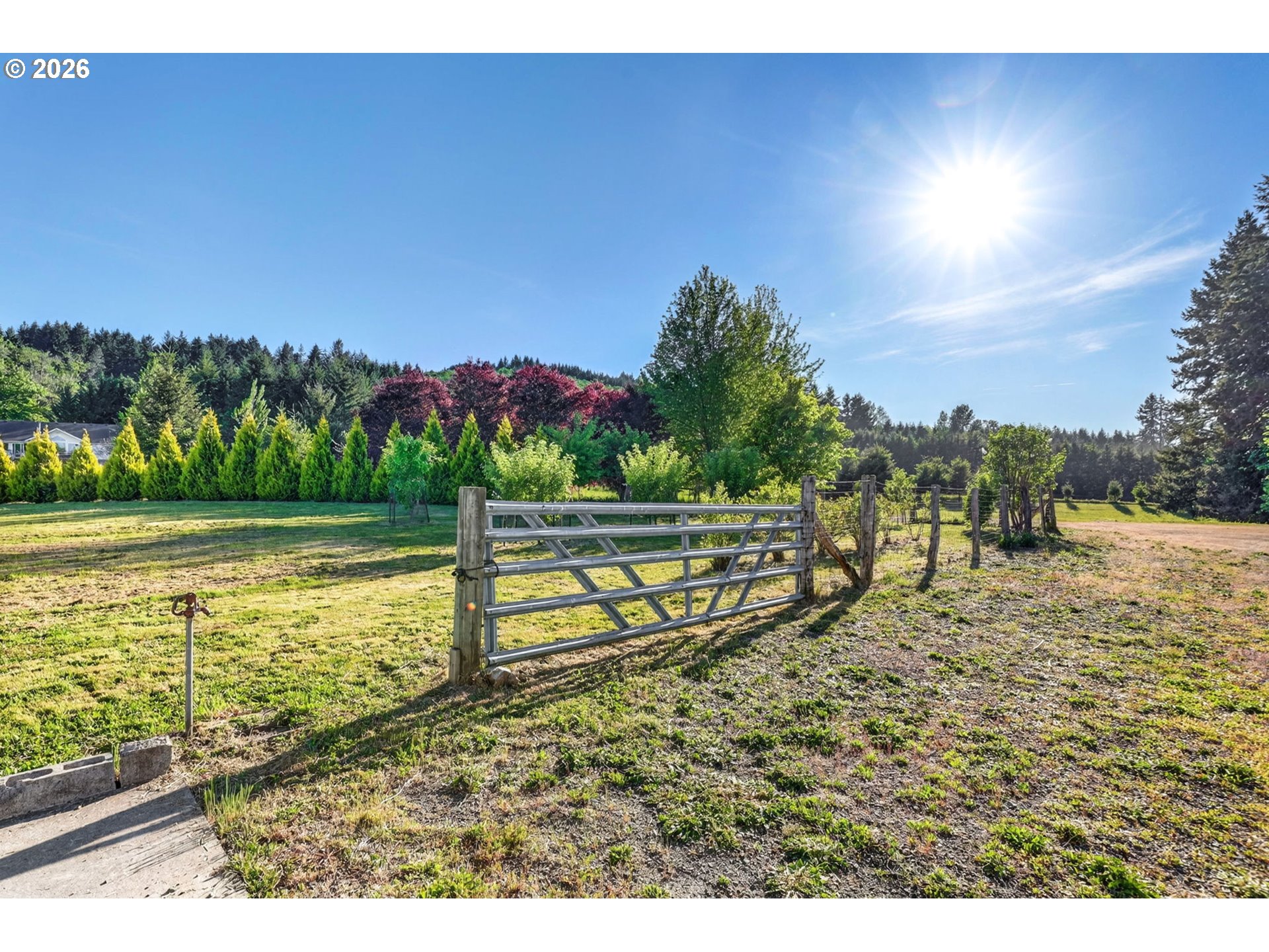 23100 Northeast St Helens View Road Yacolt, WA 98675 - Photo 10 of 48 Pasture