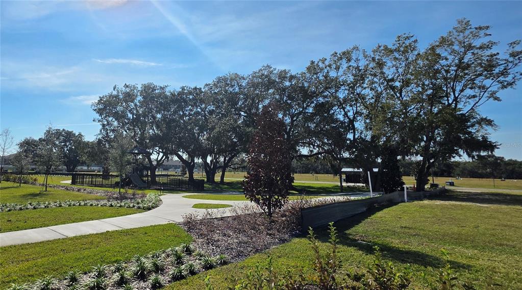 3258 Chroma Street Orlando, FL 32824 - Photo 3 of 3 a view of a park with large trees