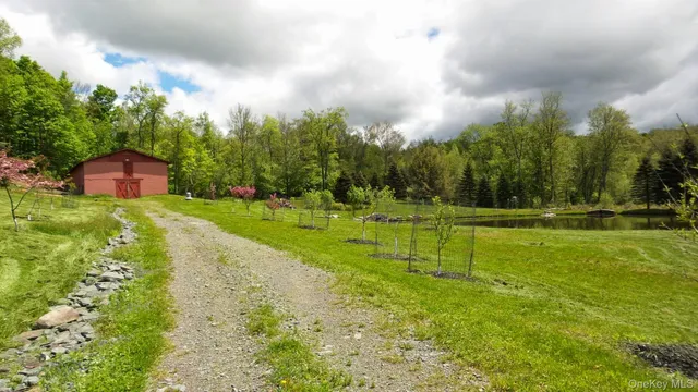 a view of a park with large trees