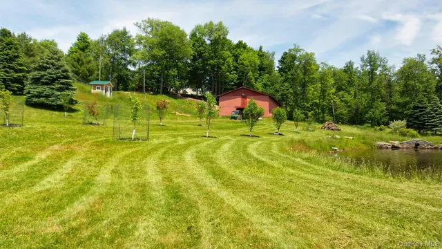 a view of a big yard with swimming pool and green space