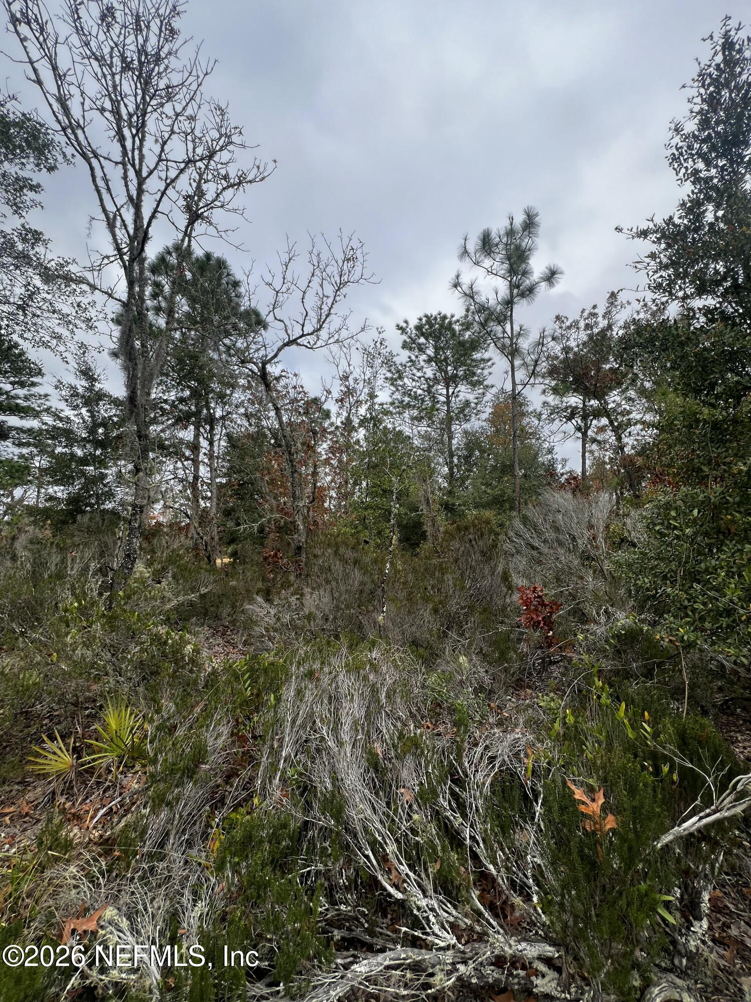 IMG_0783