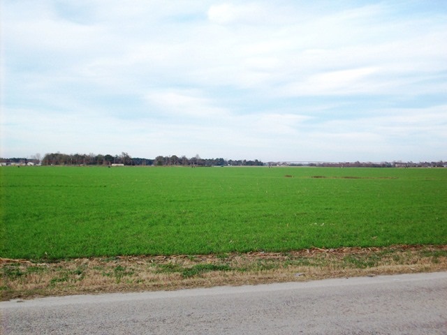 1778 Highway 21 Atmore, AL 36502 - Photo 2 of 6