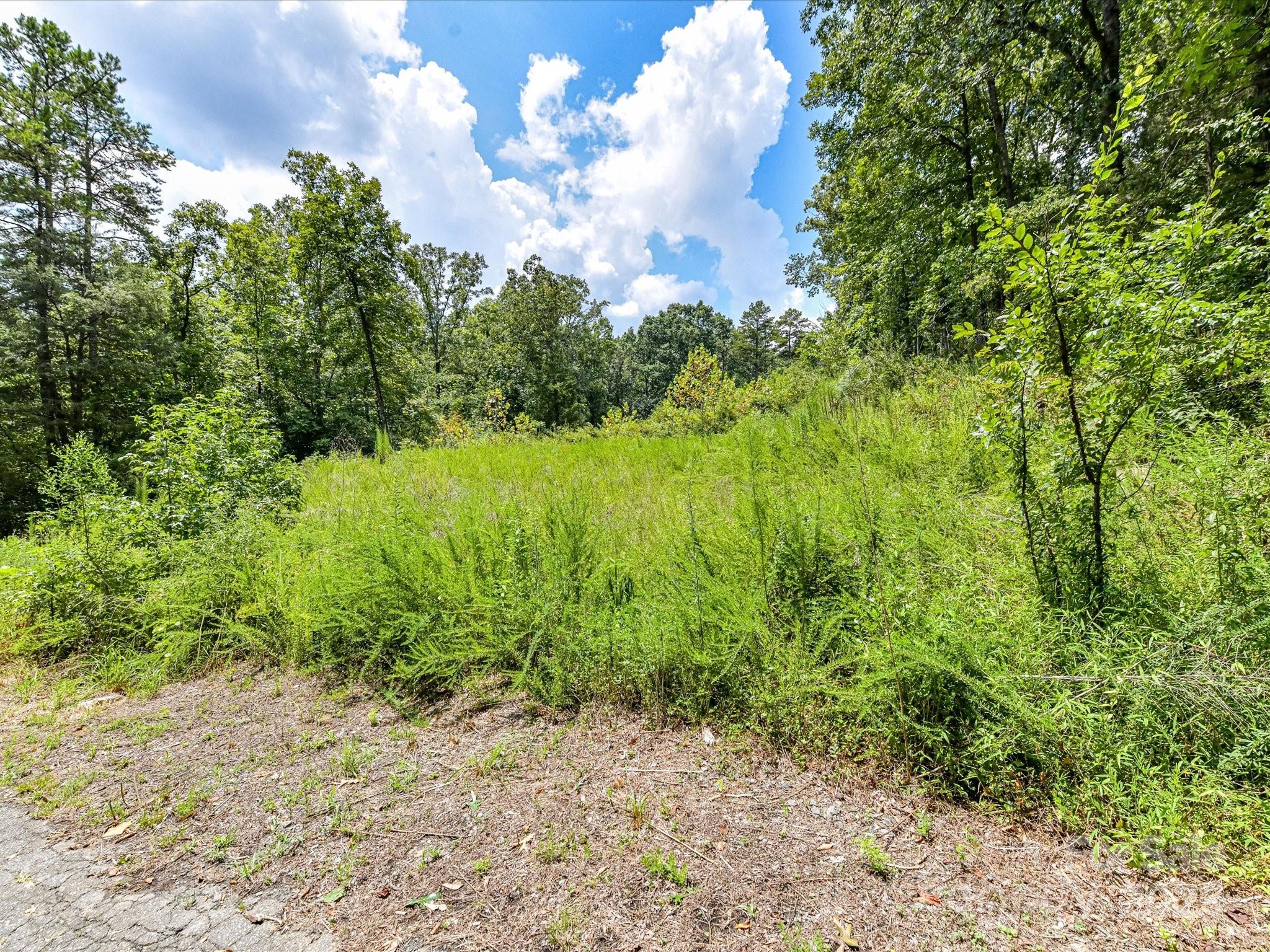 836-840 Breton Road Charlotte, NC 28214 - Photo 2 of 14 a view of a yard with plants and large trees