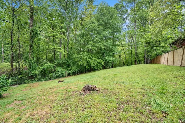 a view of a yard with a tree