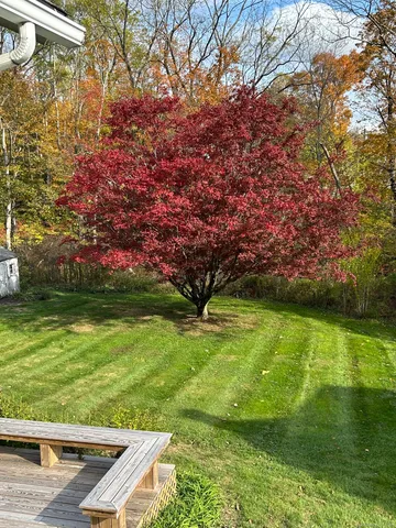 a view of yard with an outdoor space
