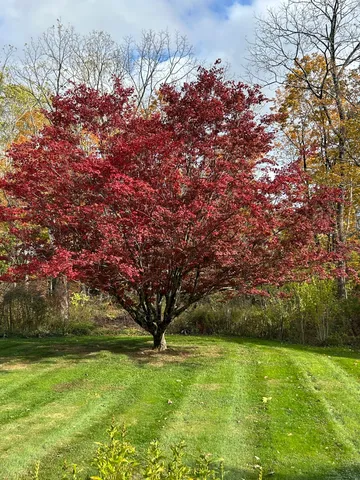 a view of outdoor space
