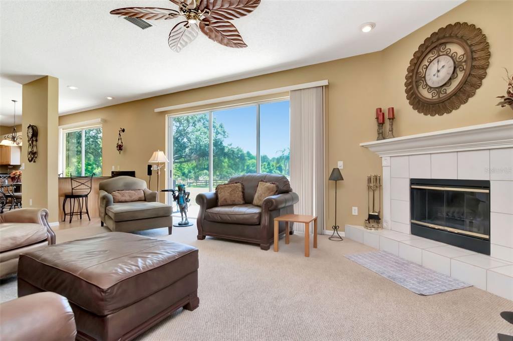 18511 Bittern Avenue Lutz, FL 33558 - Photo 17 of 63