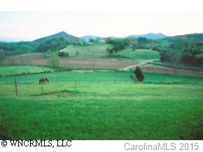 124 Gibbs Road Leicester, NC 28748 - Photo 3 of 9 Gallery Image 3