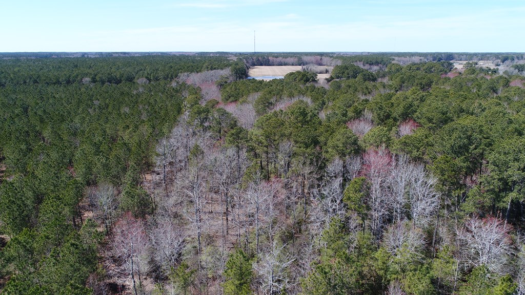 0 Drummondtown Road Accomac, VA 23301 - Photo 22 of 50