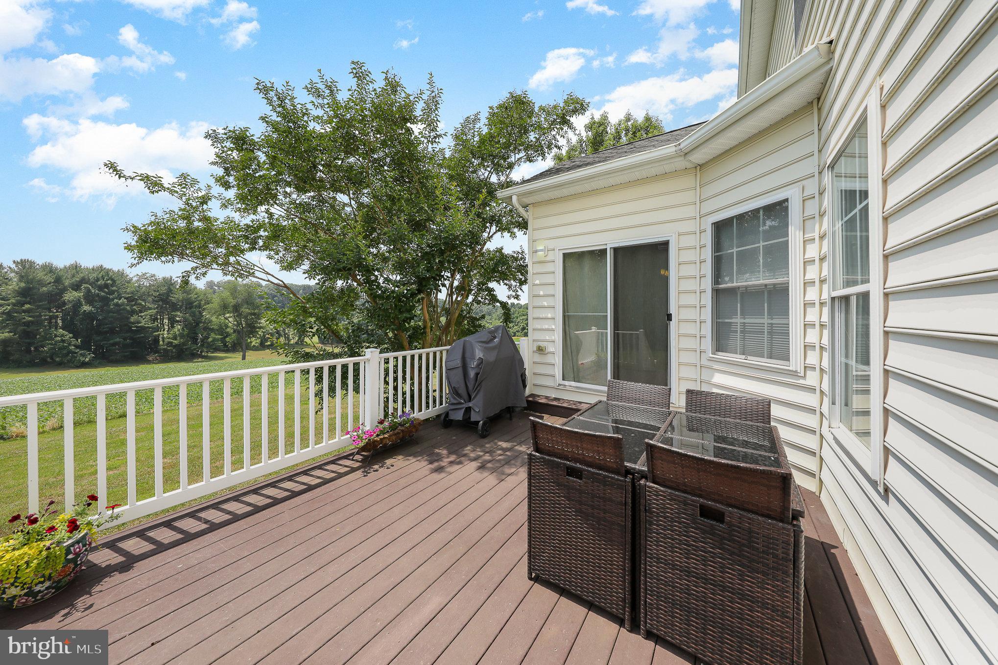 2121 Traceys Road Sparks Glencoe, MD 21152 - Photo 15 of 74 Maintenance free deck