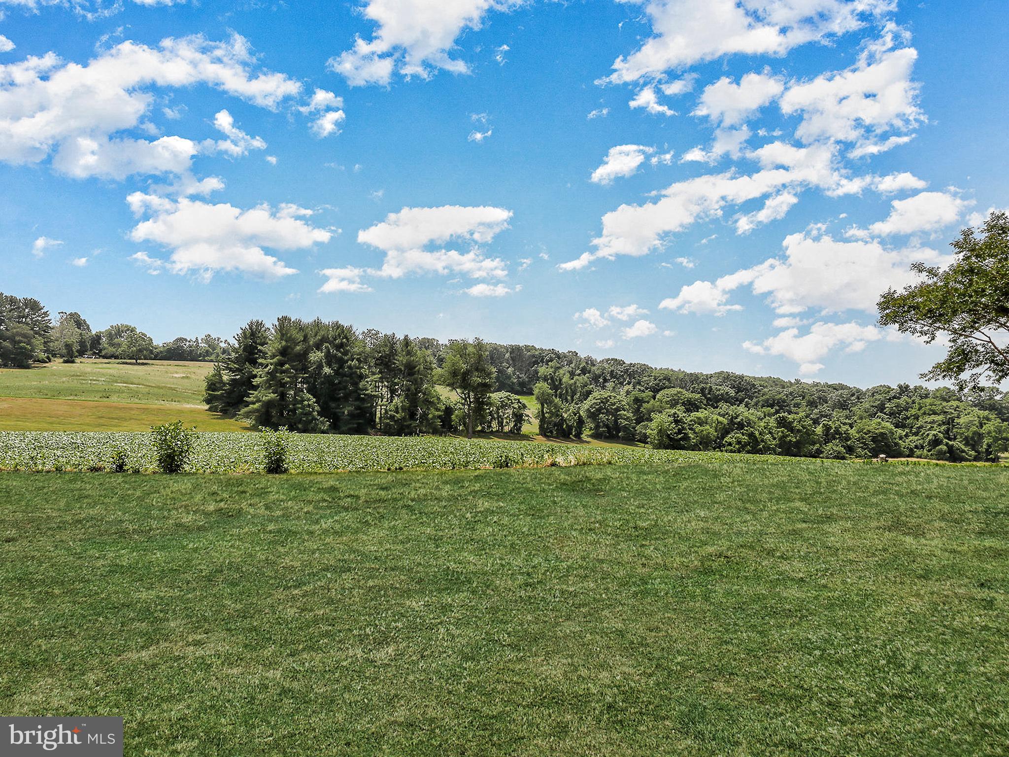 2121 Traceys Road Sparks Glencoe, MD 21152 - Photo 5 of 74 Surrounded by gorgeous views!