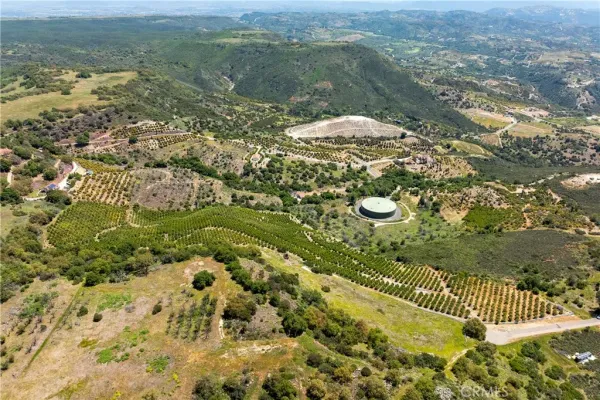 a view of a dry yard with lots of bushes