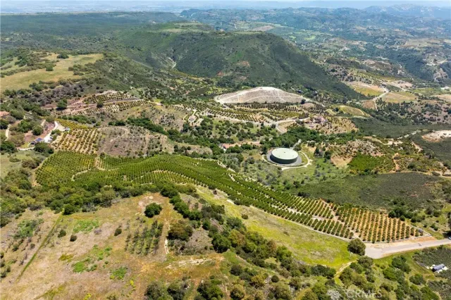 a view of a dry yard with lots of bushes