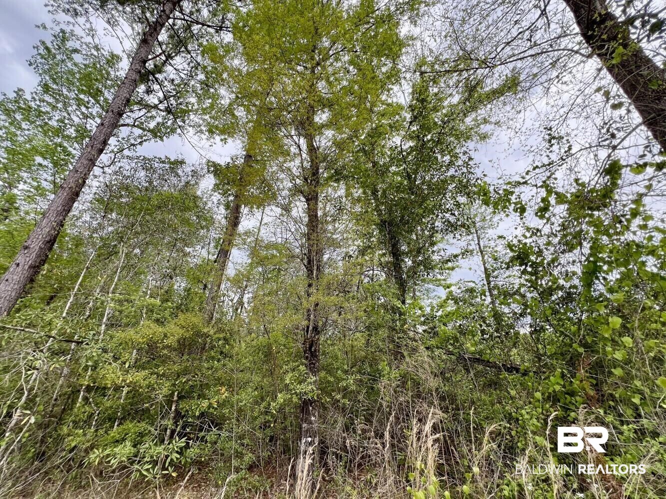 0 Pine Street St. Stephens, AL 36569 - Photo 25 of 26