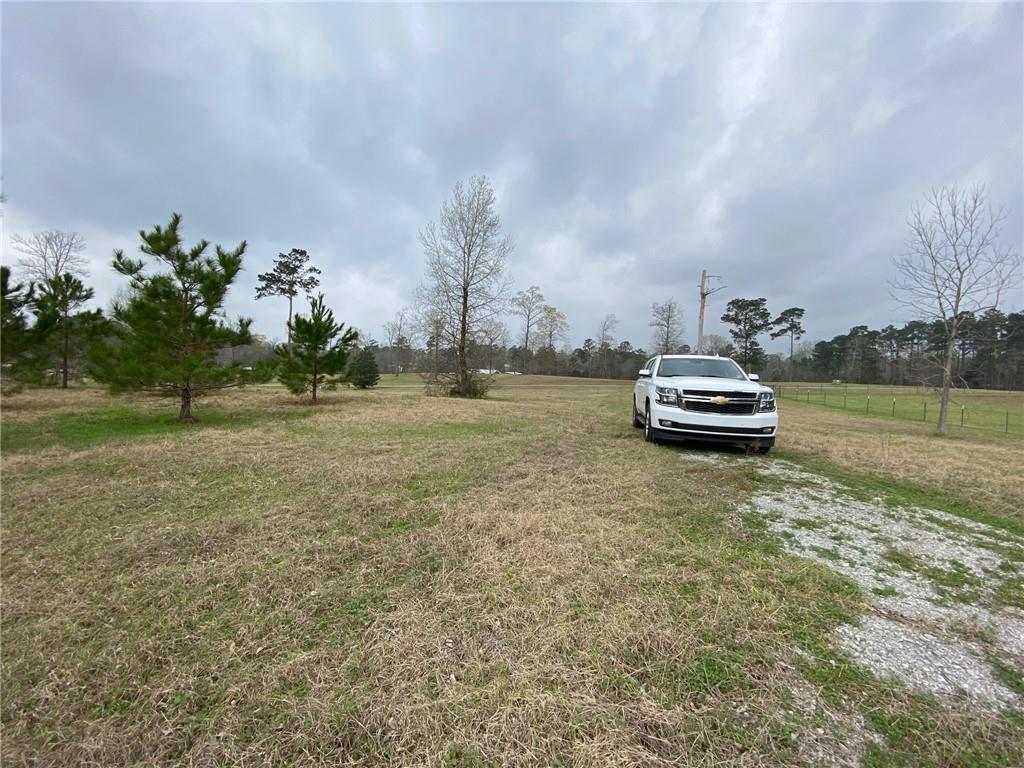 0 Pigeon Br Road Jena, LA 71342 - Photo 5 of 5 Gallery Image 5
